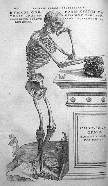 Иллюстрация к книге — Дуэль нейрохирургов. Как открывали тайны мозга, и почему смерть одного короля смогла перевернуть науку [i_007.jpg]