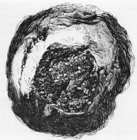 Иллюстрация к книге — Дуэль нейрохирургов. Как открывали тайны мозга, и почему смерть одного короля смогла перевернуть науку [i_033.jpg]