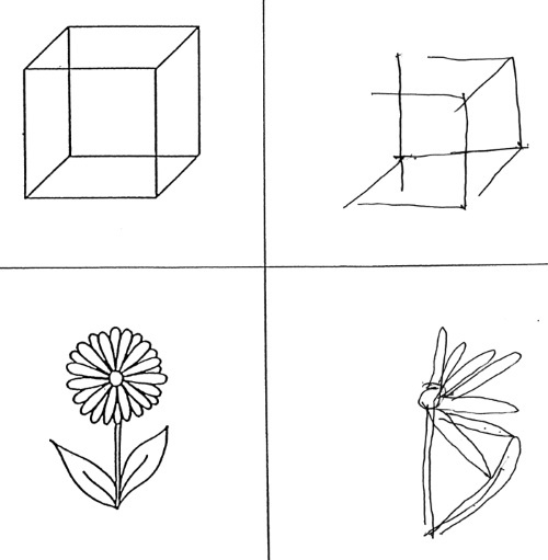 Иллюстрация к книге — Дуэль нейрохирургов. Как открывали тайны мозга, и почему смерть одного короля смогла перевернуть науку [i_036.jpg]