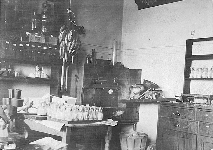 Иллюстрация к книге — Синдром Паганини и другие правдивые истории о гениальности, записанные в нашем генетическом коде [i_003.jpg]