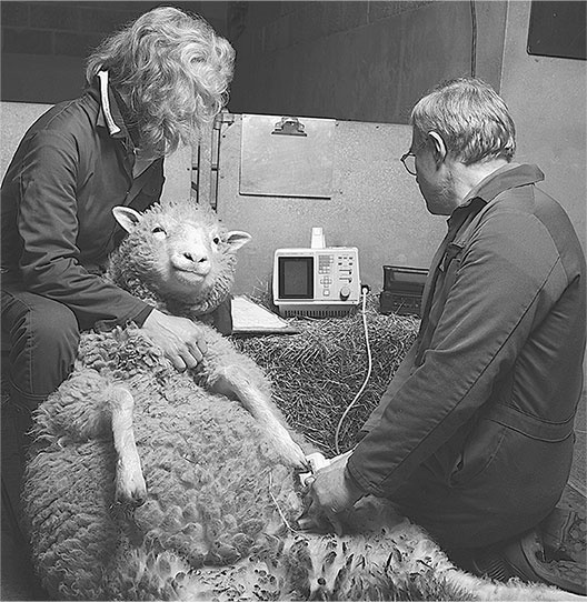 Иллюстрация к книге — Синдром Паганини и другие правдивые истории о гениальности, записанные в нашем генетическом коде [i_024.jpg]