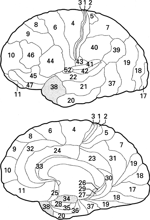 Иллюстрация к книге — Психопаты. Достоверный рассказ о людях без жалости, без совести, без раскаяния [i_004.jpg]