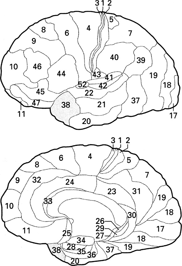 Иллюстрация к книге — Психопаты. Достоверный рассказ о людях без жалости, без совести, без раскаяния [i_005.jpg]