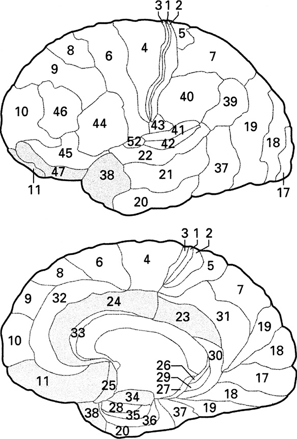 Иллюстрация к книге — Психопаты. Достоверный рассказ о людях без жалости, без совести, без раскаяния [i_006.jpg]
