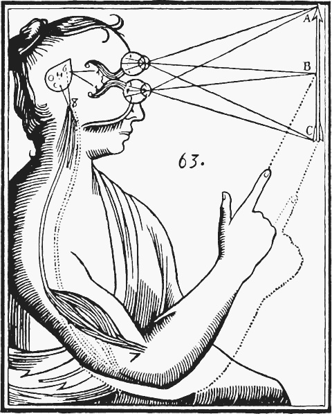 Иллюстрация к книге — Мозг. Ваша личная история [i_018.jpg]