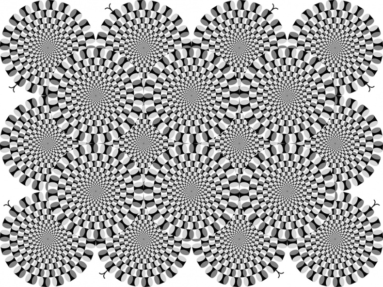 Иллюстрация к книге — Мозг. Ваша личная история [i_020.jpg]