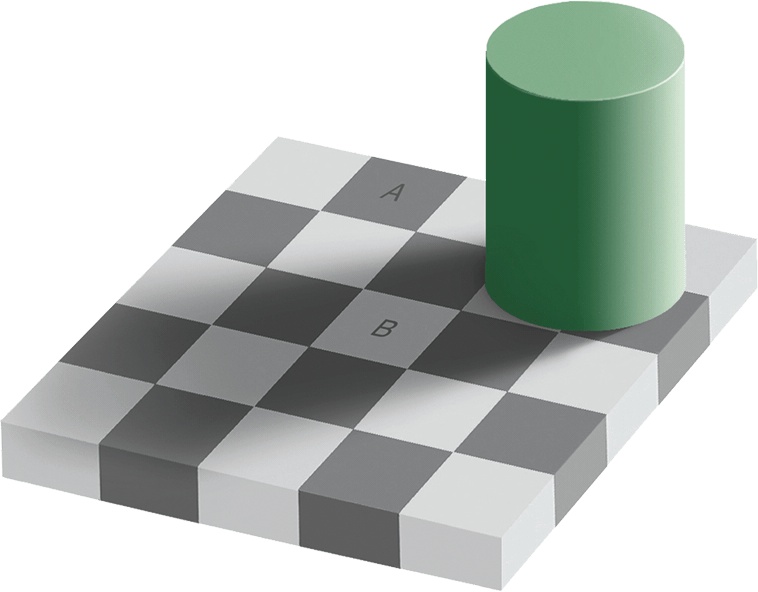 Иллюстрация к книге — Мозг. Ваша личная история [i_021.jpg]