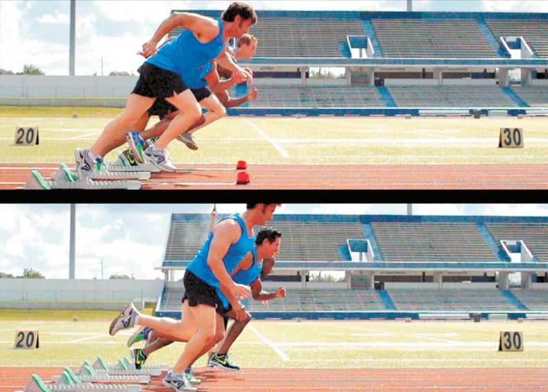 Иллюстрация к книге — Мозг. Ваша личная история [i_026.jpg]