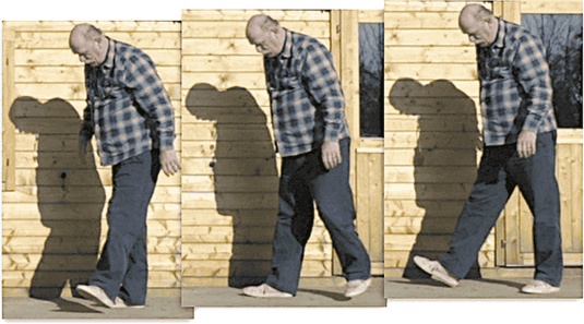 Иллюстрация к книге — Мозг. Ваша личная история [i_039.jpg]