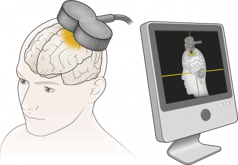 Иллюстрация к книге — Мозг. Ваша личная история [i_051.jpg]