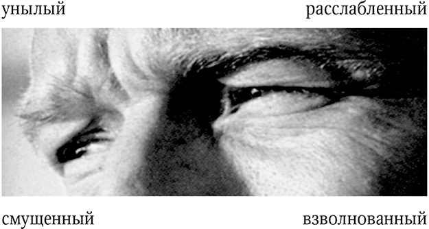 Иллюстрация к книге — Мозг. Ваша личная история [i_073.jpg]