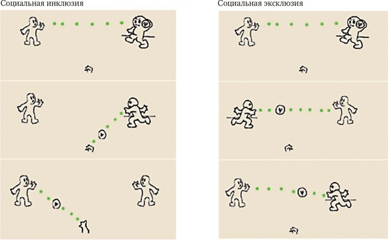Иллюстрация к книге — Мозг. Ваша личная история [i_076.jpg]