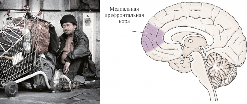 Иллюстрация к книге — Мозг. Ваша личная история [i_083.jpg]