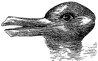 Иллюстрация к книге — Мозг. Ваша личная история [i_105.jpg]