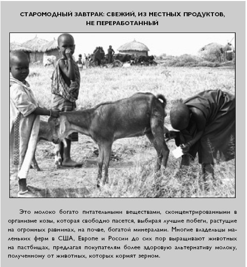 Иллюстрация к книге — Умный ген. Какая еда нужна нашей ДНК [i_003.jpg]