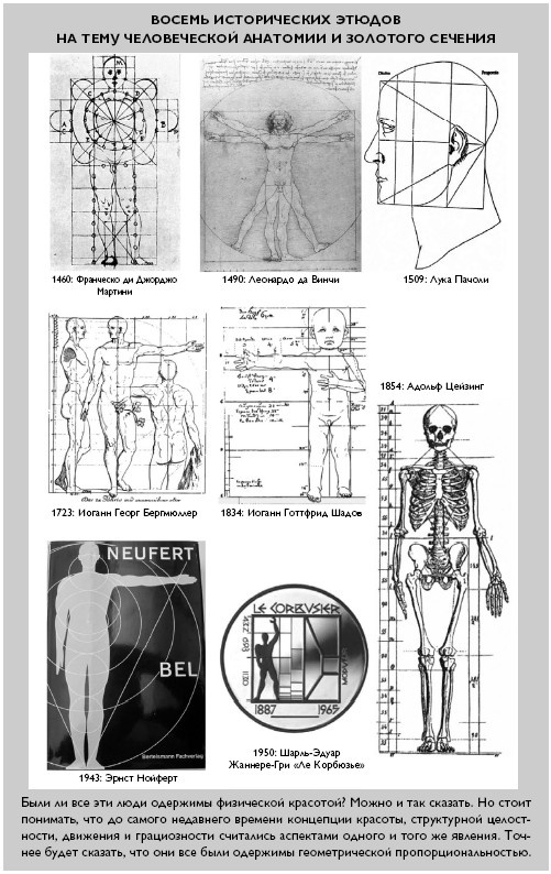 Иллюстрация к книге — Умный ген. Какая еда нужна нашей ДНК [i_006.jpg]