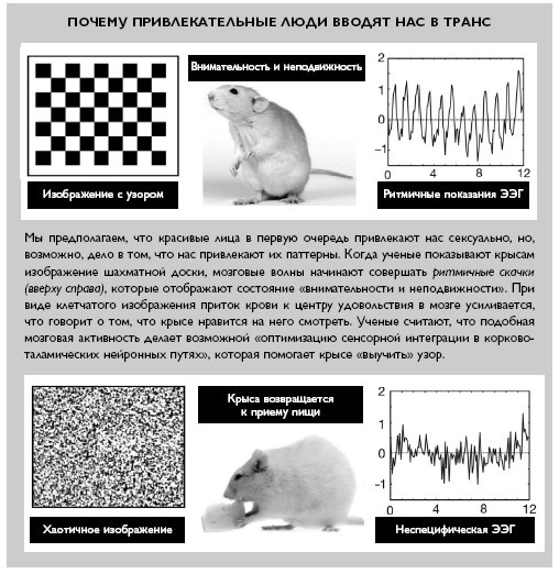 Иллюстрация к книге — Умный ген. Какая еда нужна нашей ДНК [i_011.jpg]