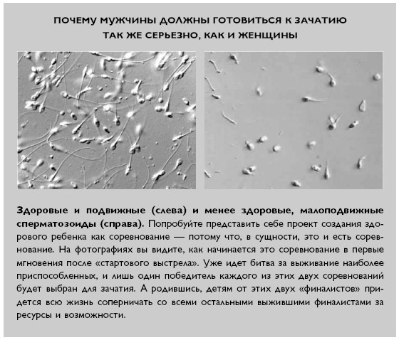 Иллюстрация к книге — Умный ген. Какая еда нужна нашей ДНК [i_021.jpg]