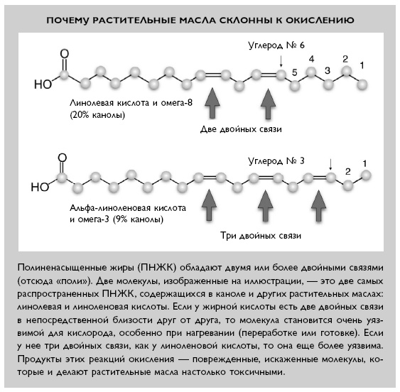 Иллюстрация к книге — Умный ген. Какая еда нужна нашей ДНК [i_028.jpg]