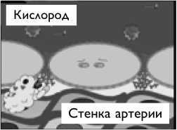 Иллюстрация к книге — Умный ген. Какая еда нужна нашей ДНК [i_037.jpg]