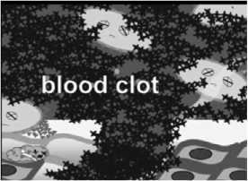 Иллюстрация к книге — Умный ген. Какая еда нужна нашей ДНК [i_045.jpg]