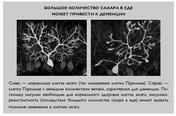 Иллюстрация к книге — Умный ген. Какая еда нужна нашей ДНК [i_046.jpg]