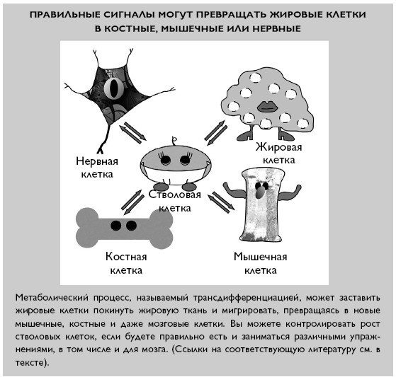 Иллюстрация к книге — Умный ген. Какая еда нужна нашей ДНК [i_052.jpg]