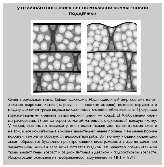 Иллюстрация к книге — Умный ген. Какая еда нужна нашей ДНК [i_058.jpg]