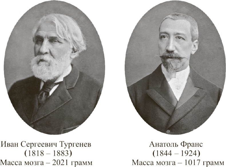 Иллюстрация к книге — Коннектом. Как мозг делает нас тем, что мы есть [i_005.jpg]