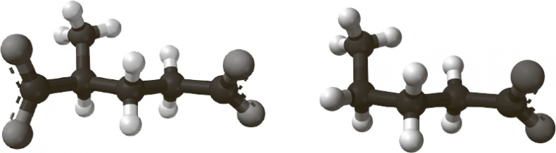 Иллюстрация к книге — Коннектом. Как мозг делает нас тем, что мы есть [i_015.jpg]