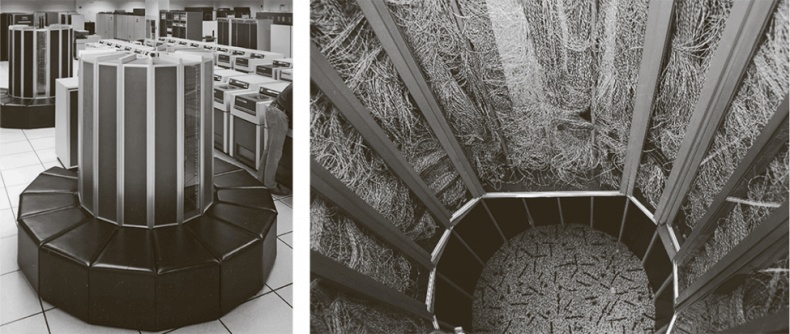 Иллюстрация к книге — Коннектом. Как мозг делает нас тем, что мы есть [i_016.jpg]