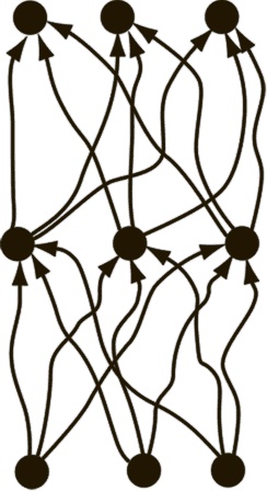 Иллюстрация к книге — Коннектом. Как мозг делает нас тем, что мы есть [i_019.jpg]