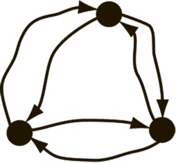 Иллюстрация к книге — Коннектом. Как мозг делает нас тем, что мы есть [i_020.jpg]