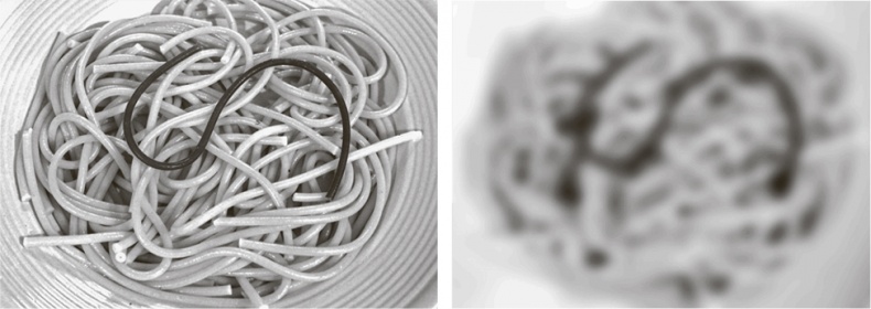 Иллюстрация к книге — Коннектом. Как мозг делает нас тем, что мы есть [i_027.jpg]