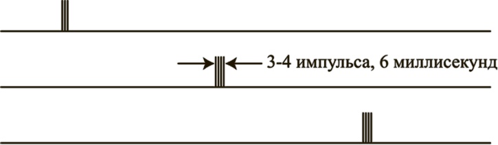 Иллюстрация к книге — Коннектом. Как мозг делает нас тем, что мы есть [i_046.jpg]