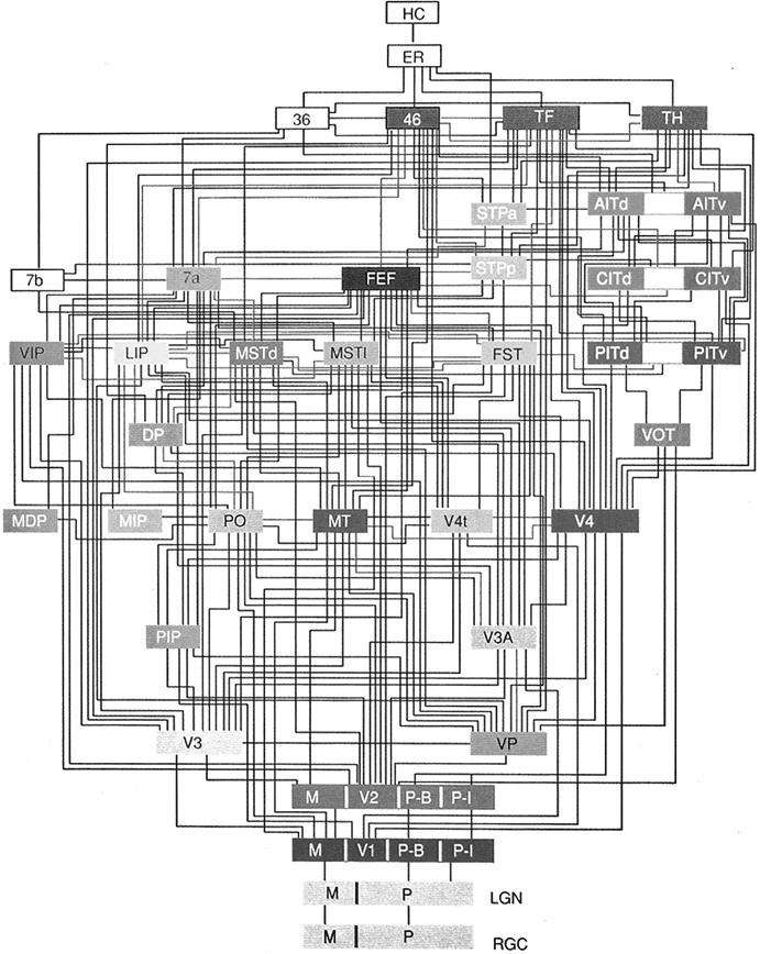 Иллюстрация к книге — Коннектом. Как мозг делает нас тем, что мы есть [i_051.jpg]