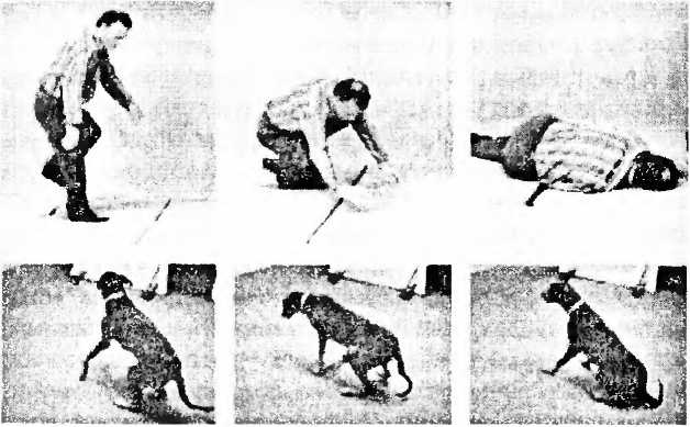 Иллюстрация к книге — Мы - это наш мозг. От матки до Альцгеймера [i_025.jpg]