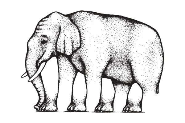 Иллюстрация к книге — Мозг во сне. Что происходит с мозгом, пока мы спим [pict8_1.jpg]