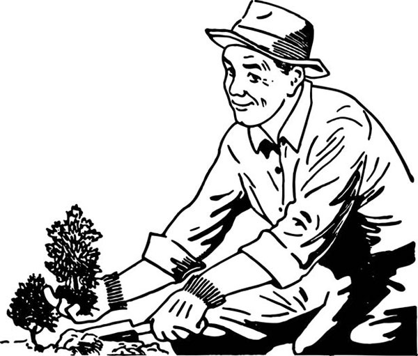 Иллюстрация к книге — Как создать эко огород. Советы врача и садовода с 40-летним стажем! [_016.jpg]