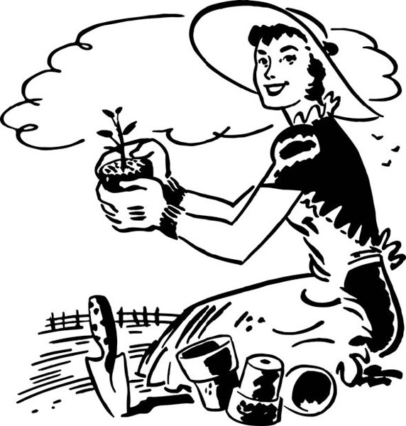 Иллюстрация к книге — Как создать эко огород. Советы врача и садовода с 40-летним стажем! [_164.jpg]