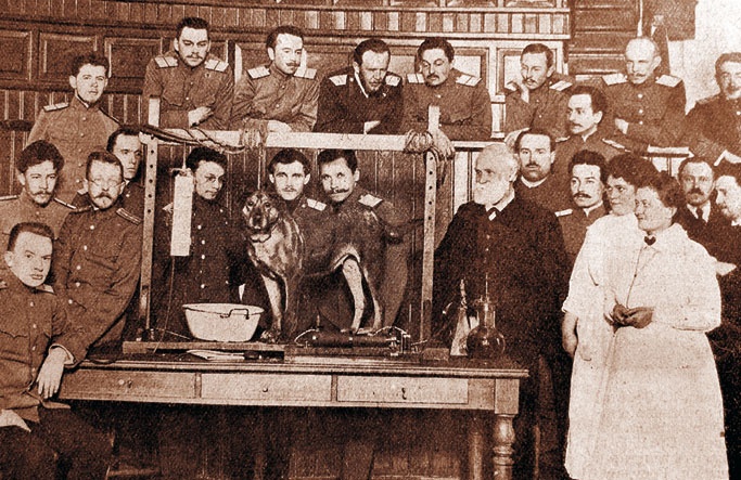 Иллюстрация к книге — Лекции о работе больших полушарий головного мозга [i_266.jpg]