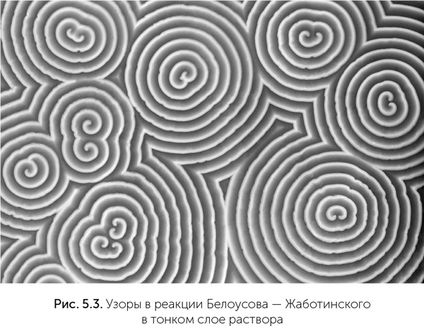 Иллюстрация к книге — Происхождение жизни. От туманности до клетки [i_037.jpg]