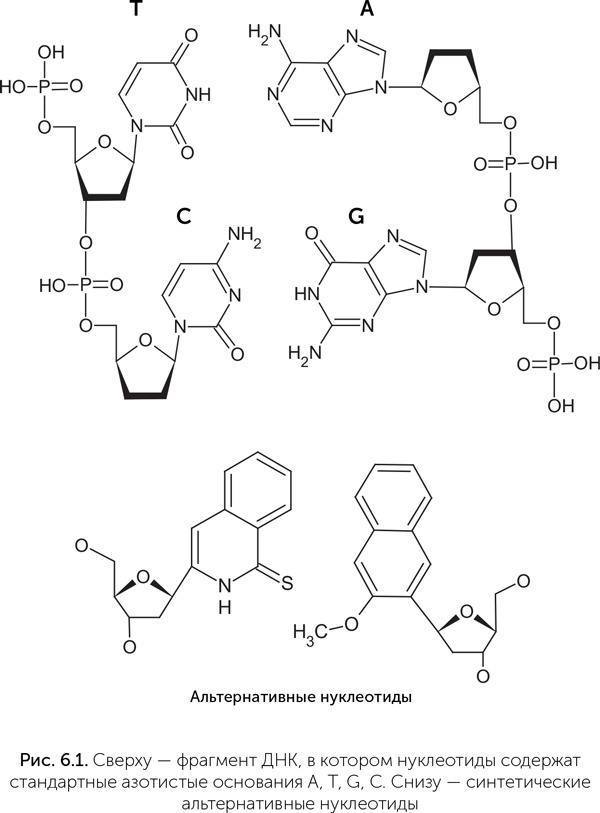 Иллюстрация к книге — Происхождение жизни. От туманности до клетки [i_039.jpg]