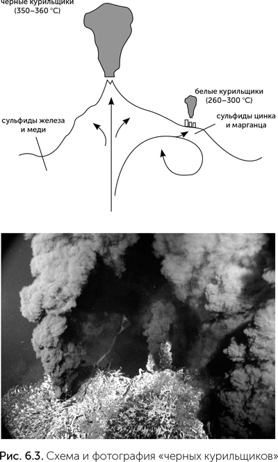 Иллюстрация к книге — Происхождение жизни. От туманности до клетки [i_042.jpg]