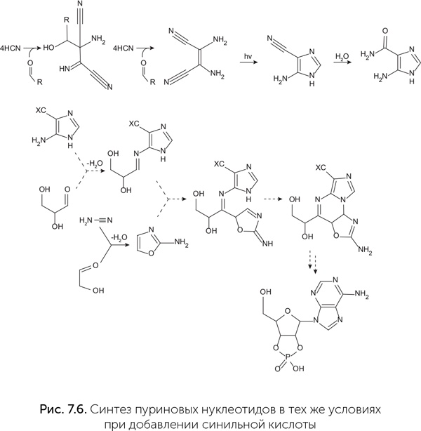 Иллюстрация к книге — Происхождение жизни. От туманности до клетки [i_055.jpg]