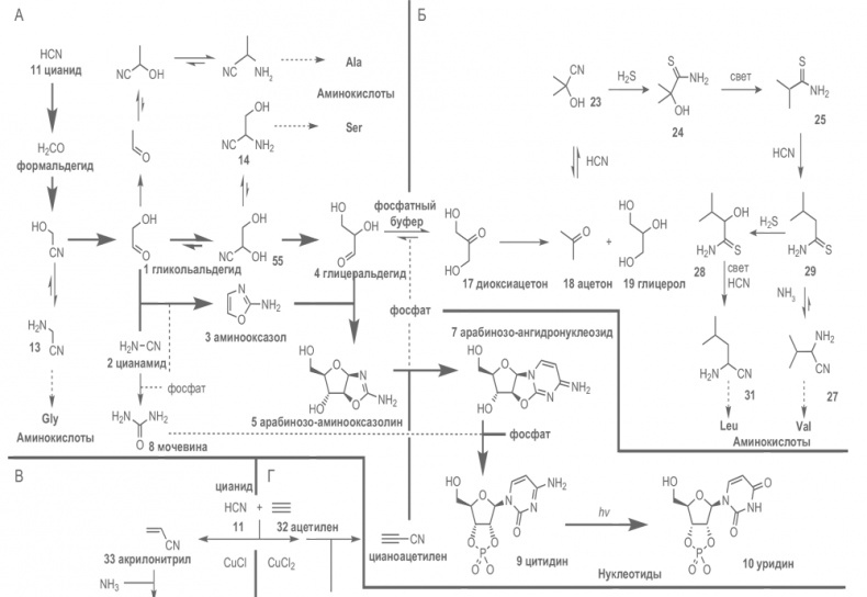 Иллюстрация к книге — Происхождение жизни. От туманности до клетки [i_057.jpg]