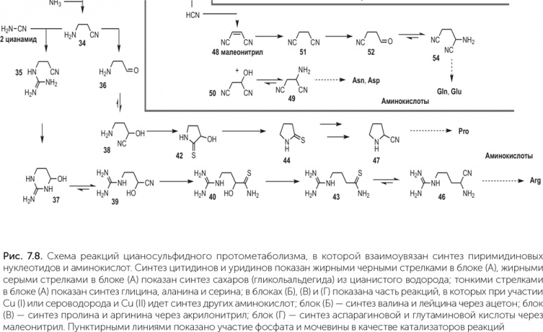 Иллюстрация к книге — Происхождение жизни. От туманности до клетки [i_058.jpg]