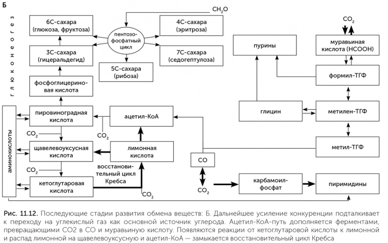 Иллюстрация к книге — Происхождение жизни. От туманности до клетки [i_091.jpg]