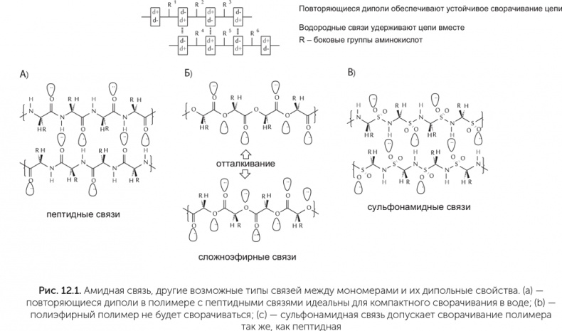 Иллюстрация к книге — Происхождение жизни. От туманности до клетки [i_092.jpg]