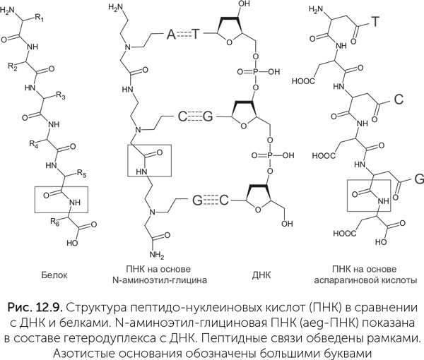 Иллюстрация к книге — Происхождение жизни. От туманности до клетки [i_100.jpg]